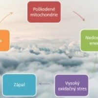 Hypoxico bunkový tréning Hypoxico bunkový tréning