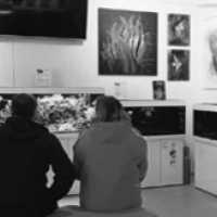 Každý deň urobme pre niekoho niečo krásne Každý deň urobme pre niekoho niečo krásne