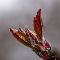 Praktické rady do jarného počasia Praktické rady do jarného počasia