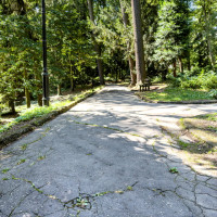 Botanická záhrada v Banskej Štiavnici Botanická záhrada v Banskej Štiavnici