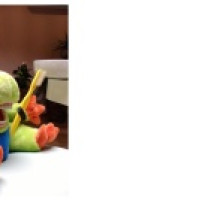 Mýty o mliečnych zuboch Mýty o mliečnych zuboch