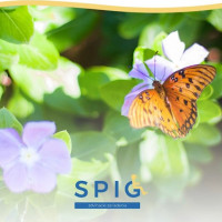 PEŇAŽNÝ PRÍSPEVOK NA KÚPU OSOBNÉHO MOTOROVÉHO VOZIDLA § 34 PEŇAŽNÝ PRÍSPEVOK NA KÚPU OSOBNÉHO MOTOROVÉHO VOZIDLA § 34