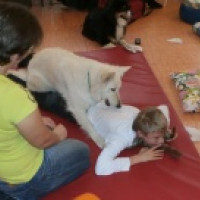 Canisterapia – malé veľké zázraky Canisterapia – malé veľké zázraky