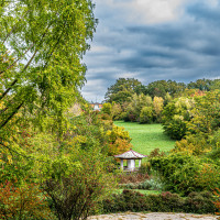 Arborétum Mlyňany Arborétum Mlyňany