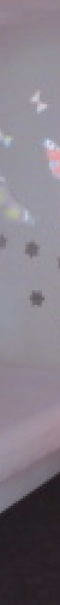 INAK OBDAREN V KOLE IV.  SNOEZELEN