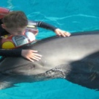 Zooterapia Zooterapia