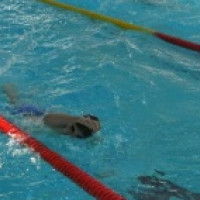 Leto v Plaveckom klube TZPŠ DOLPHINS Leto v Plaveckom klube TZPŠ DOLPHINS