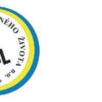 Diskriminácia postihnutých Diskriminácia postihnutých