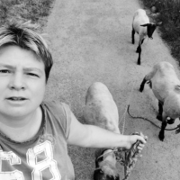 Všetko má svoj dôvod Všetko má svoj dôvod