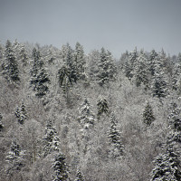 Zima už začla Zima už začla