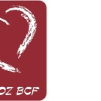 Búranie bariér pred Vianocami Búranie bariér pred Vianocami