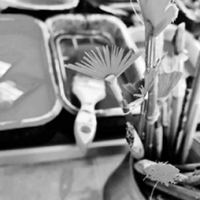 V srdci mi horí tvorivý plameň V srdci mi horí tvorivý plameň