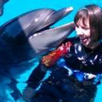 Delfínoterapia – zážitok na celý život Delfínoterapia – zážitok na celý život