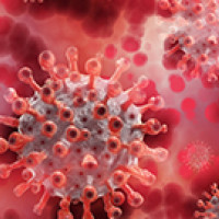 Pandémia nás nezastaví Pandémia nás nezastaví