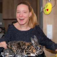 Štvornohý terapeuti Štvornohý terapeuti